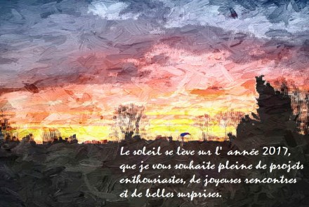 voeux2017